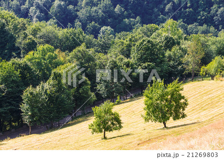 Landscape of Apuseni Mountains in Romania Landscape of Apuseni Mountains in Romania 21269803