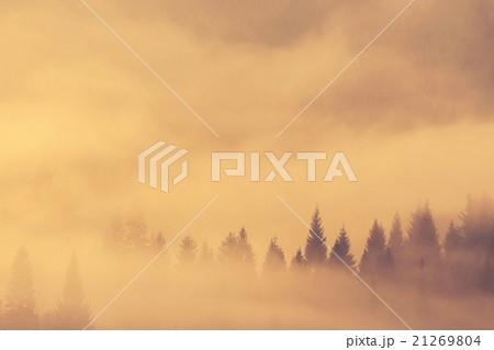 Beautiful misty morning in mountains Beautiful misty morning in mountains 21269804