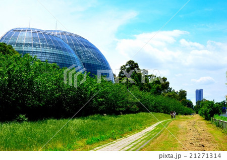 夢の島熱帯植物館 夢の島熱帯植物館 21271314