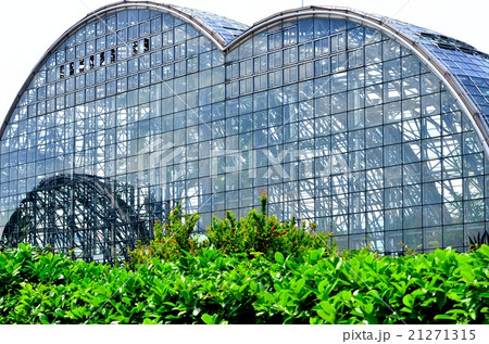 夢の島熱帯植物館 21271315