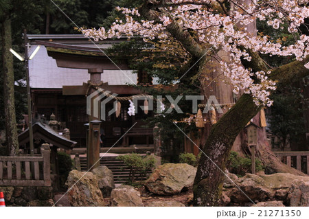 水分公園 水分公園 21271350