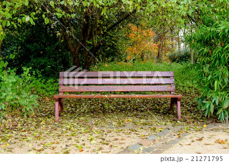 Bench in the park 21271795