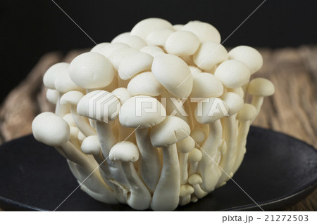 Cluster of Brown Beech mushrooms 21272503