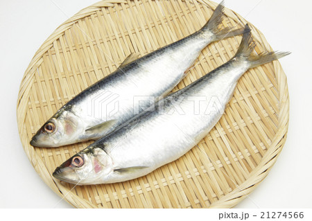 北海道産生ニシン 北海道産生ニシン 21274566
