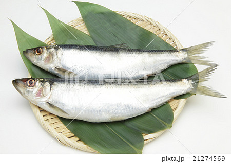 北海道産生ニシン 北海道産生ニシン 21274569