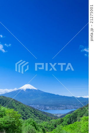 新緑の山と富士山 新緑の山と富士山 21275001