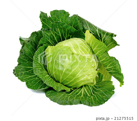 Cabbage isolated on the white background 21275515