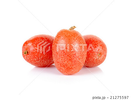 croton tiglium isolated on the white background 21275597