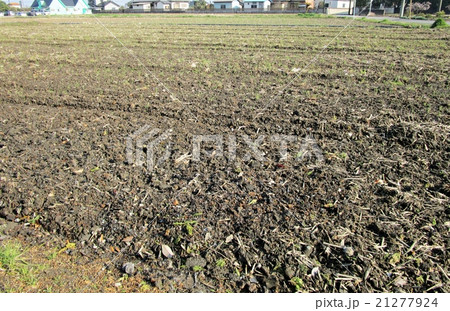 水入れ前の田んぼ 水入れ前の田んぼ 21277924