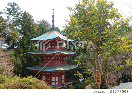 油山寺 三重塔 油山寺 三重塔 21277993
