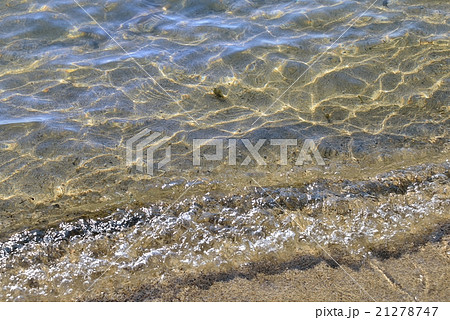 早春の揺らめき 21278747