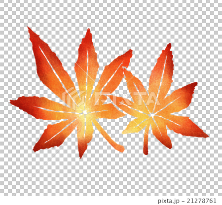 Autumn leaves illustration 21278761