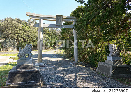 ビャクシンの木陰を進む石室神社の参道、伊豆半島石廊崎、静岡県 21278907