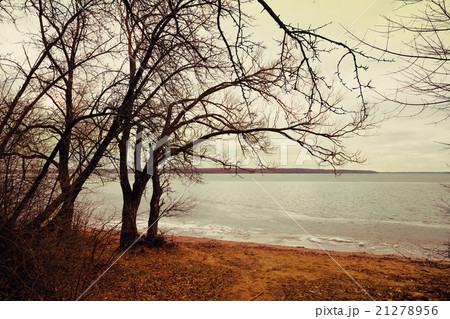 River in winter and tree branches on foreground 21278956