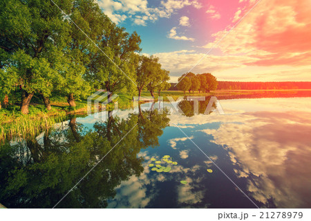River bank with trees at sunset River bank with trees at sunset 21278979