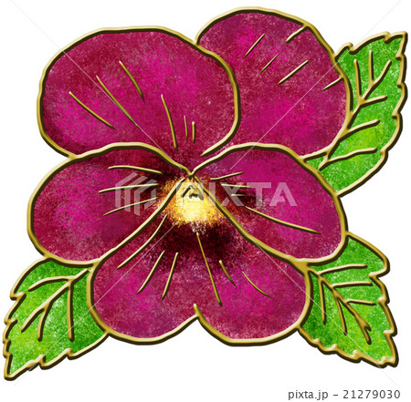 パンジー パンジー 21279030