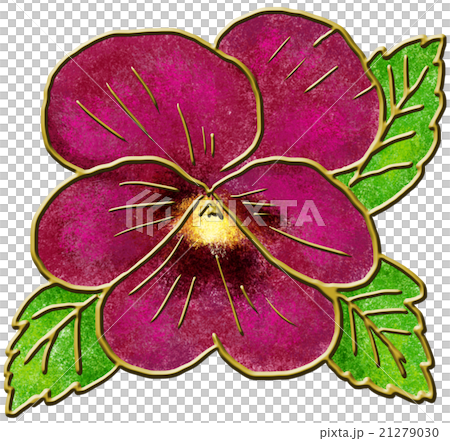 パンジー パンジー 21279030