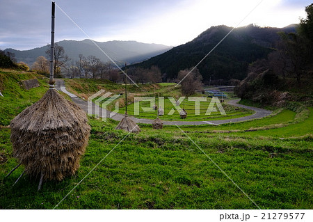 棚田の夜明け（奈良県高市郡明日香村） 21279577