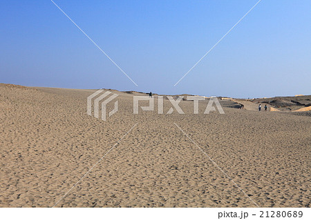 中田島砂丘 21280689