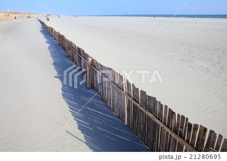 中田島砂丘　堆砂垣 21280695