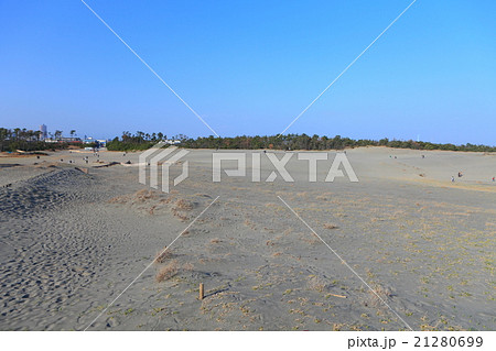 中田島砂丘 中田島砂丘 21280699
