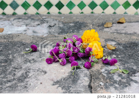 寺院の花の供え物 寺院の花の供え物 21281018