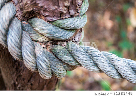 rope rope 21281449