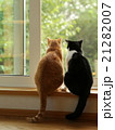 ２匹の猫　窓辺の猫　 21282007