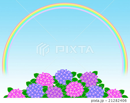 紫陽花 21282406