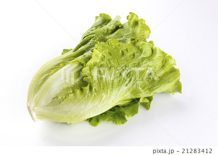 野菜 ベジタブル 青菜 21283412