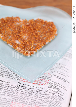 Parable of the Sower Parable of the Sower 21284510