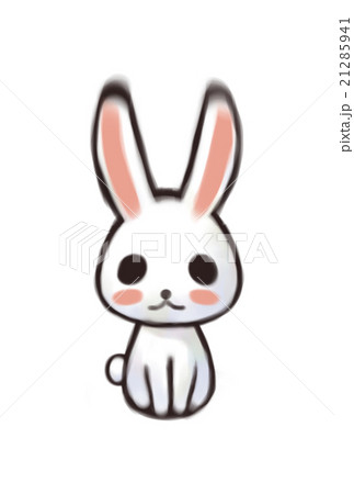 うさぎ うさぎ 21285941