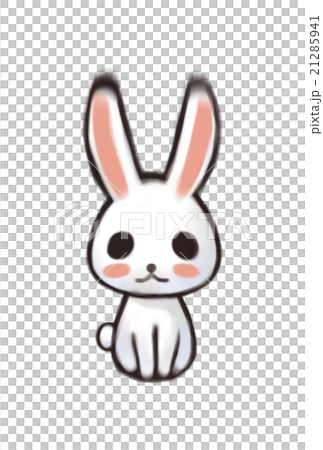 うさぎ うさぎ 21285941
