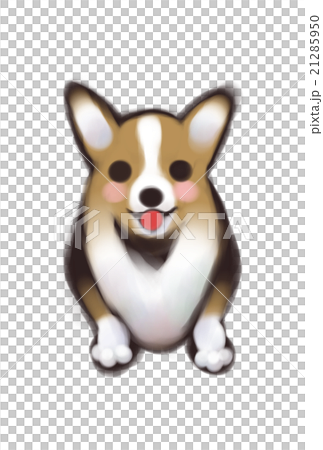 狗狗 狗狗 21285950