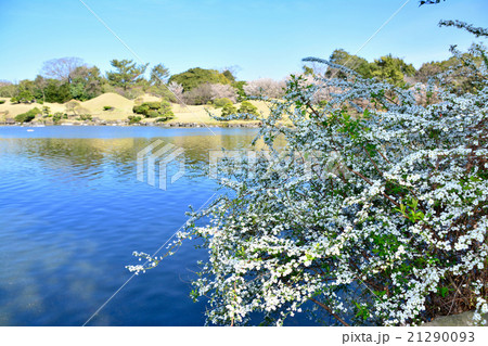 熊本　水前寺成趣園 21290093
