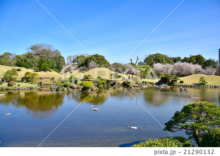熊本 水前寺成趣園 熊本 水前寺成趣園 21290132