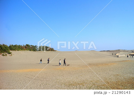 中田島砂丘 21290143