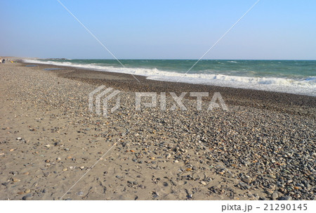 中田島砂丘 21290145