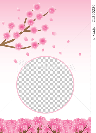 桜のポストカードのフォトフレームのイラスト素材 [21290226 桜のポストカードのフォトフレームのイラスト素材 [21290226