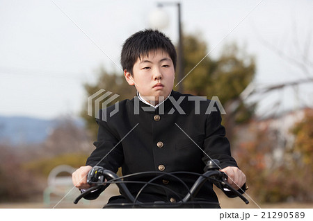 学生服を着て自転車通学をする男子中学生の写真素材