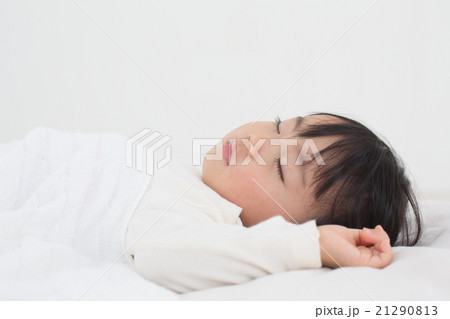 お昼寝 お昼寝 21290813