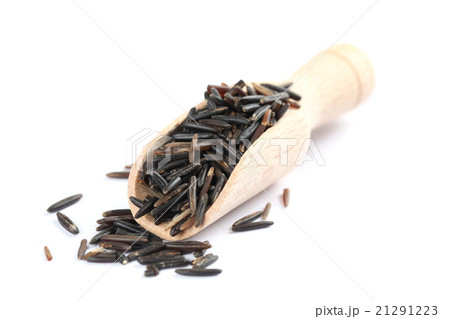 Wild rice 21291223