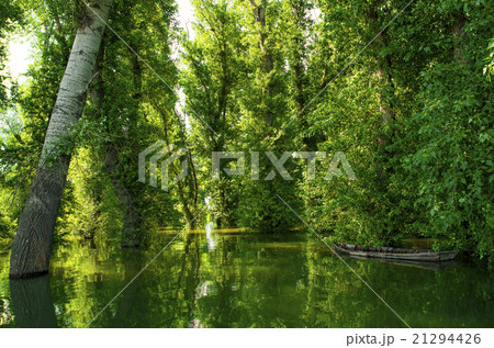 reflection of flooded tree in lake and boat reflection of flooded tree in lake and boat 21294426