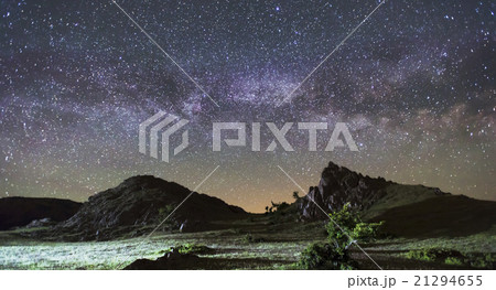 Beautiful landscape of a single oak and mountains 21294655