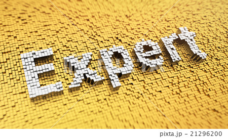 Pixelated Expert Pixelated Expert 21296200