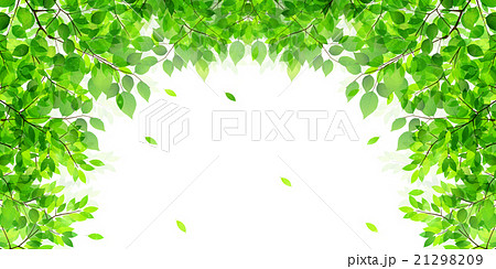 葉 新緑 木 背景 のイラスト素材 21298209 Pixta