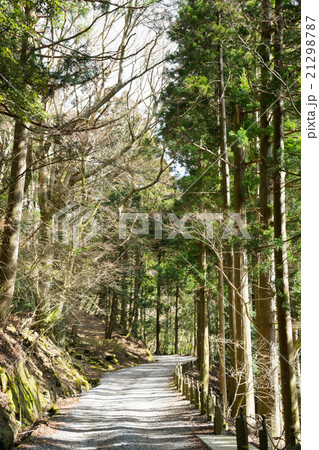 天城山隧道への遊歩道 天城山隧道への遊歩道 21298787