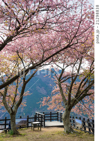 河津城址公園 21298838