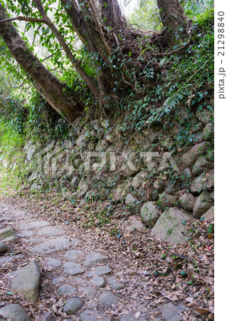 河津城の石垣 21298840