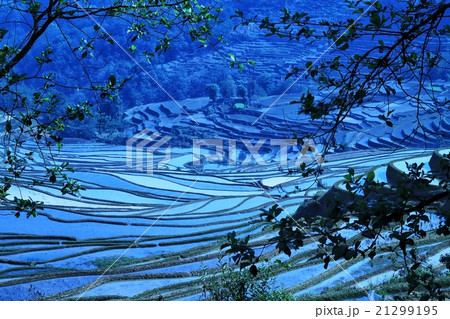 元陽棚田 21299195